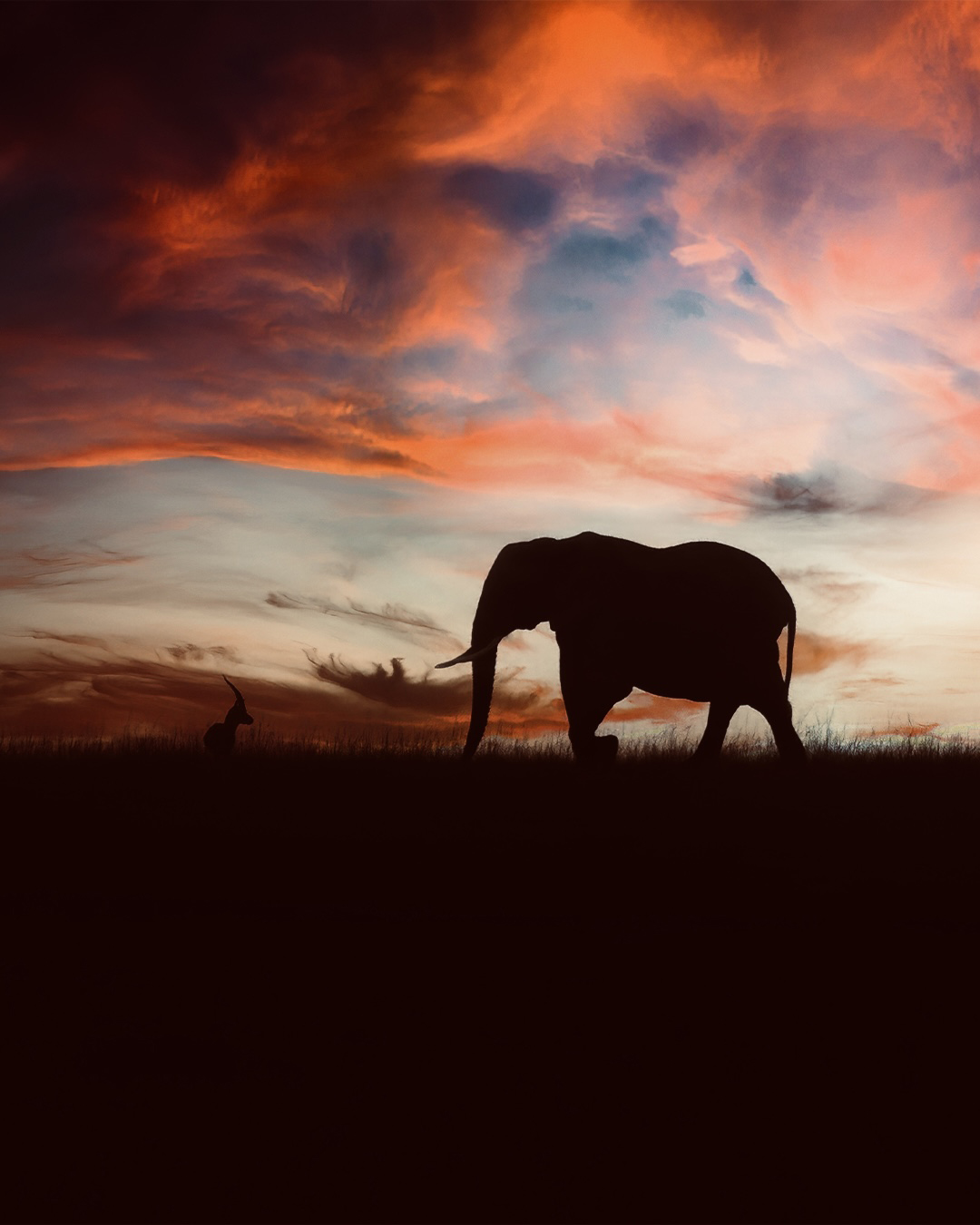 An elephant silhouetted beneath a dramatic orange sunset.